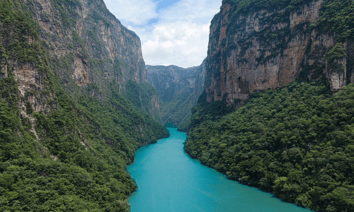 Sumidero